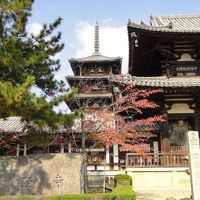 法隆寺から平城宮跡へ