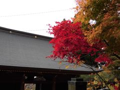 2014秋 御岳山：御岳渓谷と紅葉の御岳山登山、ロックガーデン散策