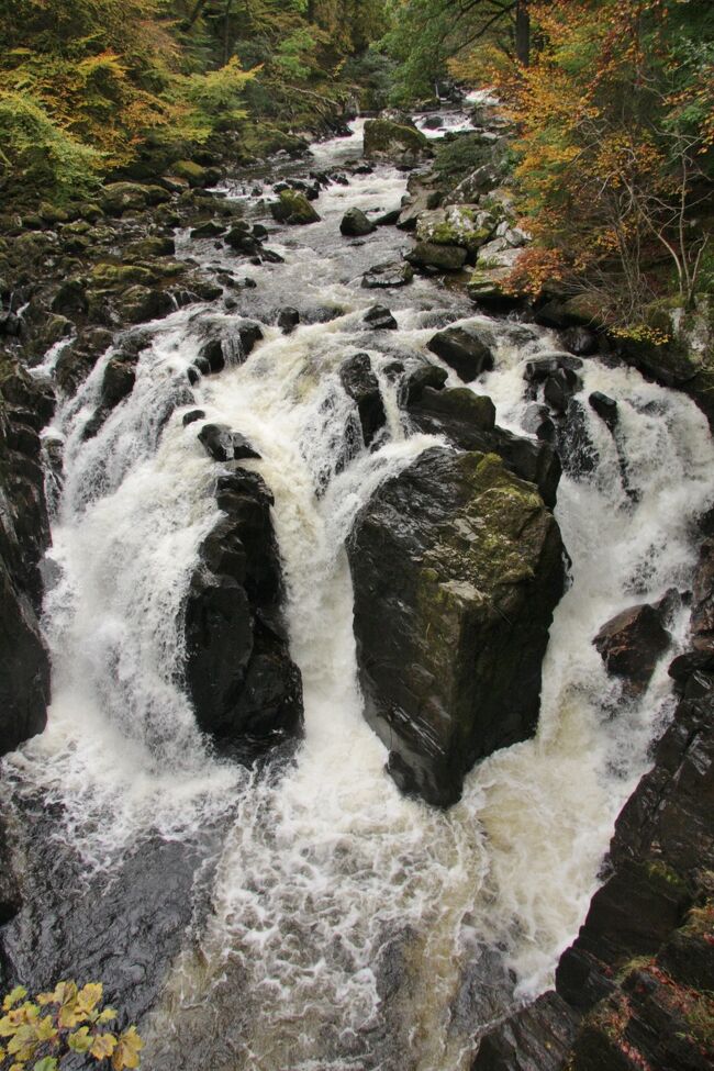 エルミタージュの滝　11：06　Water fall of the Hermitage<br /><br />スコットランド・フランスの旅2014<br />写真旅行記　Travel Photo Essay &quot;Scotland and France 2014&quot;<br />2014.10.13(月）〜10.27（月）15日間<br /><br />第2回　スコットランドの自然探訪<br />No.2 Highland Whisky Experience part 1/Nature of Scotland<br /><br />10月14日（火）　曇り　　<br />エジンバラ到着の翌日はスコッチウィスキー蒸留所ツアーに参加した。<br />現地の2日目に考えていたが、催行日の関係で翌日となった。<br /><br />前夜は9時前にベッドに入ったため、11時前に一度目覚め、今朝も2時ごろ目が覚めてしまったが、目覚し音で7時に起床。<br /><br />7時半に１階のカフェ・レストランで朝食。7.5ポンド￥1350（CARD)<br />・トースト、クロワッサン、バター、ジャム<br />・ハム、チーズ、ヨーグルト、オレンジジュース<br />・紅茶、コーヒー<br /><br />天気予報(テレビ11℃　83％)を見て、服装はジーンズ、厚手の長袖シャツ、ダウンヴェスト（ユニクロ）、モンベルのフード付きパーカ、マフラー、野球帽<br /><br />集合場所（pick-up location)はホテルの斜向かいのEdinburgh Dungeonに8：45なので5分前に行ってバスを待った。<br />バスは定刻には来なかったが、10分過ぎて来なかったら電話するようにバウチャーに書かれていたのでしばらく待つと8：50分に到着。<br />バスにはすでに3人乗っていたが、いくつかのホテルを巡回して客を拾い、最終的に14名（2シングル：インド人と私、6カップル）となった。<br />Gray Lineの白い中型バスで、ドライバー兼ガイドはPAULポールさん。<br /><br />本日のツアーのルート<br />Edinburgh→A90を西へ→M90に移り北上→Forth Road Bridgeを渡りPerthにてA9へ→DunkeldにてOld Military Road A822へ入り、ナショナル・トラストThe　Hermitage→Dunkeldにて自由行動50分（昼食・街歩き）→A822をCrieff(Glenturret蒸留所）→A822をGreenloaning→A9をStirling→M9をKirkliston→M90,A90を経てEdinburghへ。<br />走行距離177マイル（284Ｋｍ）<br /><br />エジンバラの北140キロほどにあるナショナルトラストの自然公園「エルミタージュ」は200年以上も前から人気の観光拠点で、ワーズワース（イギリスの詩人）、ターナー（イギリスの風景画家）、メンデルスゾーン（ドイツの作曲家）が親しんだところであることを今回知った。<br />メンデルスゾーンの交響曲第3番は「スコットランド」であることを思い出した。出だしのもの悲しい旋律が荒涼としたスコットランドの風景と重なる。<br />川沿いの遊歩道を進むと樹齢200年以上と思われる巨木が並び、それらの根元や切り株は緑の苔におおわれている。さらに進むと川に架かる石橋とその袂に建てられた石造りの滝見小屋（バルコニー付）がある。<br /><br />11時半過ぎにダンケルドDunkeldの駐車場で降り、小1時間の自由行動となった。<br />ナショナルトラストの店で頼まれているミトン（オーブン手袋）を買ったり、ビストロに入ってランチのツナ・パニーニを食べたりした。<br />蒸留所へ着いてからランチタイムが設けてあったが、ガイドの英語の説明が聞き取れていなかった。（午前中ここまで）<br /><br />午後の蒸留所見学は第3回に記載することとし、帰路の風景について印象をまとめておく。<br />ダンケルドDunkeldから蒸留所があるクリーフCrieffを通ってスターリングStirlingまでのA822沿いは羊が放牧された牧草地や低草木（ヒースHeath)に覆われた丘が連なっており、森林は見られない独特の風景である。<br /><br />Stirlingから東へ向かうM9の沿道に突如として馬の首のオブジェが2頭現れた。<br />The Kelpies と呼ばれ Falkirk 地域の16のコミュニティ(自治体）がまとまって建設した公園施設内にある。高さ30ｍあり、表面はステンレス板で作られている。<br />http://darkroom.baltimoresun.com/2013/11/huge-horse-sculpture-kelpies-scotland-andy-scott/#1<br />建造費は500万ポンド（約9億円）<br /><br />建造時の早送り画像：<br />http://laughingsquid.com/a-construction-time-lapse-of-the-kelpies-scotlands-monumental-horse-sculptures/<br /><br /> The Helix parkの場所（地図）<br />https://www.google.co.jp/maps/place/The+Helix/@56.0053466,-3.8016625,11z/data=!4m2!3m1!1s0x0:0x7c9dee076274b03b<br /><br />■旅行計画要約（毎回重複掲載します）　<br />Abstract of the trip to Scotland and France<br />http://4travel.jp/travelogue/10935919<br /><br />イギリスは自動車会社Ｈの研究所勤務時に、1980年代初頭から90年代半ばまでローバーとの共同開発を含むjoint businessの機会に何度となく出張し、イギリス人から生きた英語を学んできたので、私にとっては学生時代に交流があったフランスとならび特別な親近感を抱く外国。<br /><br />しかしいつしか高齢となり、いつまで海外旅行ができるか分らなくなったため、一度も行ったことのないイングランドと地続きのスコットランドへ行ってみたくなり、半年ほど前に今年の旅行先に決めた。<br />先日のスコットランドの独立の是非を問う国民投票が公示される以前のことだ。<br />体質の関係で日本酒は全くダメだが、ウィスキーは好きで、最近は飲む機会が少ないが、昔はオールドパーのボトルキープができた古き良き時代もあった。水で割ってはせっかくの香りが薄まるのでロックがよい。<br />イギリスへ出張を繰り返していた80年代に、イギリス人に緑の三角形の瓶で知られたシングルモルト・ウィスキーの草分けグレンフィディックGlenfiddich（現在はサントリーが輸入・販売）を土産に奨められたこともあった。<br /><br />スコットランドからの帰りにヨークおよびハワースへ立ち寄るのも大きな目的。<br />ヨークは鉄道好きには聖地のような国立鉄道博物館がヨーク駅に隣接している。世界で初めて時速200Kmを超えた蒸気機関車マラード号を始め機関車103両、客車176両、日本の新幹線もあるそうだ。（ブルーガイド・イギリスによる）<br />ヨーク大聖堂や2000年の歴史を刻む城壁や城門も楽しみだ。<br /><br />「嵐が丘」を書いたエミリー、「ジェーン・エア」のシャーロッテ、「アグネス・グレイ」のアン（あまり知られていない）の3姉妹の生まれ育った荒野の中の小さな村で、シェークスピアが生まれたストラットフォード・アポン・エイボンと並ぶ「英国文学の聖地」ハワースは死ぬ前に訪れなくてはならない場所と思っていた。<br /><br />後半のフランス訪問については、<br />今年4月に1964年の東京オリンピックの直前の8月に日仏学生交流プログラムで来日したフランスの学生たち（3つの大学の内の1つ）が50年ぶりに再来日することになり、2日間の都内見学の計画づくりと案内に奔走した。<br />彼らがその後鎌倉・箱根・京都・広島・奈良・大阪を回り、帰国後のメールのやり取りでスコットランド旅行の計画を伝えたところ、その帰りにぜひフランスにも足を延ばして再会したいと言われ、誘いに乗ることになった。（7月）<br />リヨン、エクサンプロヴァンス、パリの3都市だが、いずれのお宅も部屋はたくさんあるのでホテルの手配は要らないと言ってくれているので助かる。<br />4月の受け入れ時にはコーディネーターを務めたので、奥様方を含め16人のメンバー全員と顔のつながりができているため、とても楽しみにしている。<br /><br />■あとがき<br />第2回はエジンバラ到着翌日のスコッチウィスキー蒸留所ツアーの前半です。スコットランドの豊かである一方、厳しくもある自然を十分味わうことができました。<br />第1回から10日経っての公開ですが、この間隔であれば無理なく編集できそうなので、しばらく1の日（1,11,21）の公開を目安にします。<br /><br />旅行記に記載のポンド／円レートは180円としたが、外貨購入の189円とクレジットカード精算の172円の中間値です。<br /><br /><br />撮影　CANON EOS40D EF-S17/85<br />      PowerShot A2300<br /><br />お気に入りブログ投票（クリック）お願い<br />http://blog.with2.net/link.php?1581210<br /><br />
