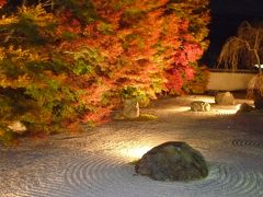 京都 紅葉を楽しむ旅＜大原＞