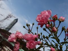 紅葉もそろそろ　東山動物園で遊ぶ♪