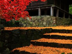 兵庫　丹波篠山もみじ三山～文保寺、大国寺、高蔵寺