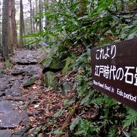 箱根旧街道を歩き、飛竜の滝･芦之湯へ