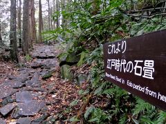箱根旧街道を歩き、飛竜の滝･芦之湯へ