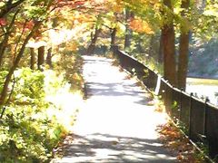 八丁湖紅葉　埼玉街歩きー吉見町