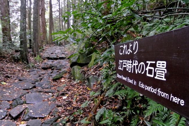久し振りに体重を量ってみると、何と自分史上最大になっていた。<br />折角の三連休だし、箱根で旧街道でも歩いてみれば運動にもなるし達成感も得られるだろう。<br />そんな計画を家族に話してみた。<br />奥様:「日月は仕事だからダメ」<br />小僧:「模試だし。だいたい歩くなんて面倒臭い。」<br />速攻却下。<br />ふん、いいさ。一人で行ってやる。<br />ってんで、気ままに箱根一人旅。<br /><br />さて前編は、箱根湯本から芦之湯まで箱根旧街道を歩くの巻でござる。<br /><br />【後編】仙石高原すすき野を歩く<br />http://4travel.jp/travelogue/10954264