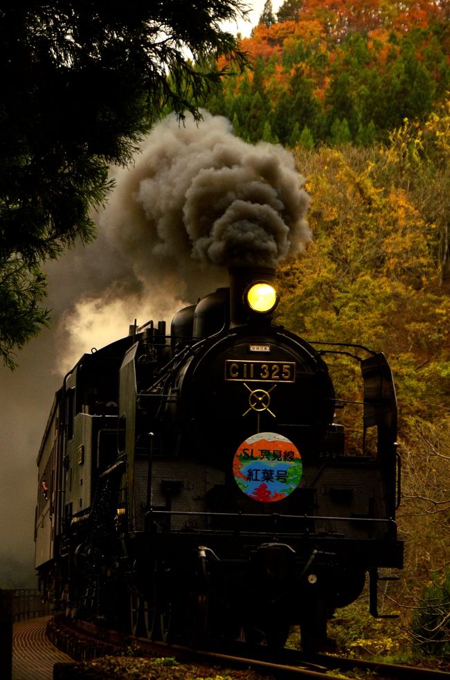 2014年11月8日(土)・9日(日)の2日間に快速「SL只見線紅葉号」が運転されました。<br />運転区間は、会津若松(9:18発)〜会津川口(11:52着)、会津川口(14:10発)〜会津若松(16:46着)の1往復です。<br /><br />奥会津の紅葉の中を走る「SL只見線紅葉号」の姿を見るために、JR只見線に訪れてみました。<br /><br />--<br />新緑に包まれた只見線沿線を散策しに訪れてみた<br />http://4travel.jp/travelogue/10788352<br /><br />紅葉に包まれた只見線沿線を散策しに訪れてみた(その1)、そして第一只見川橋梁ライトアップ編<br />http://4travel.jp/travelogue/10945848<br /><br />紅葉に包まれた只見線沿線を散策しに訪れてみた(その2)<br />http://4travel.jp/travelogue/10945943<br />--