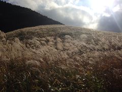 晩秋の伊豆箱根３日間の旅～初日