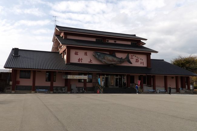 　村上市塩町の三面川左岸の村上市鮭公園に「いよぼや会館」がある。いよぼや会館は日本で最初の鮭の博物館であり、「鮭公園（サーモンパーク）」の中心施設である。「イヨボヤ」とは、村上の方言で鮭のことで、「イヨ」も「ボヤ」も魚のことであり、魚の中の魚（king of fish）という意味がある。11月に入り、鮭の産卵の時期に当たる。駐車場には5台の観光バスが並んでいた。<br />　昨年は、三面川に種川を設けて世界初のサケの自然ふ化増殖に成功した青砥武平治（正徳3年（1713年）〜天明8年（1788年））の生誕300年の年であった。ここ村上地方は鮭が最も食べられる地域である。鮭の腹を全開にしないのは江戸時代に始まったことであるが、鮭を尾から吊るすのはここ村上だけとされる。しかし、実際にはアイヌも鮭を尾から吊るすから、同源だとすれば縄文時代からのことになろうか？<br />　秋晴れの中、いよぼや会館裏の公園には子供たちが大勢遊んでいた。ハローウィンではあるまいが、ぬいぐるみ姿の若い娘さんもいた。しかし、三面川左岸堤防を越えた河川敷には誰もいなかった。この時間には鮭漁は行なわれてはいないのだろう。<br />（表紙写真はいよぼや会館）