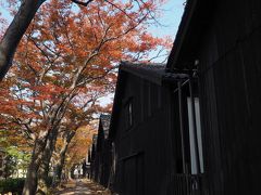 錦秋の東北を巡る。山形そして氷見