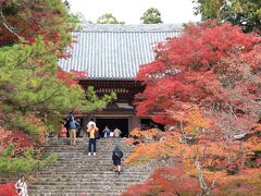 2014　京の紅葉散歩　神護寺