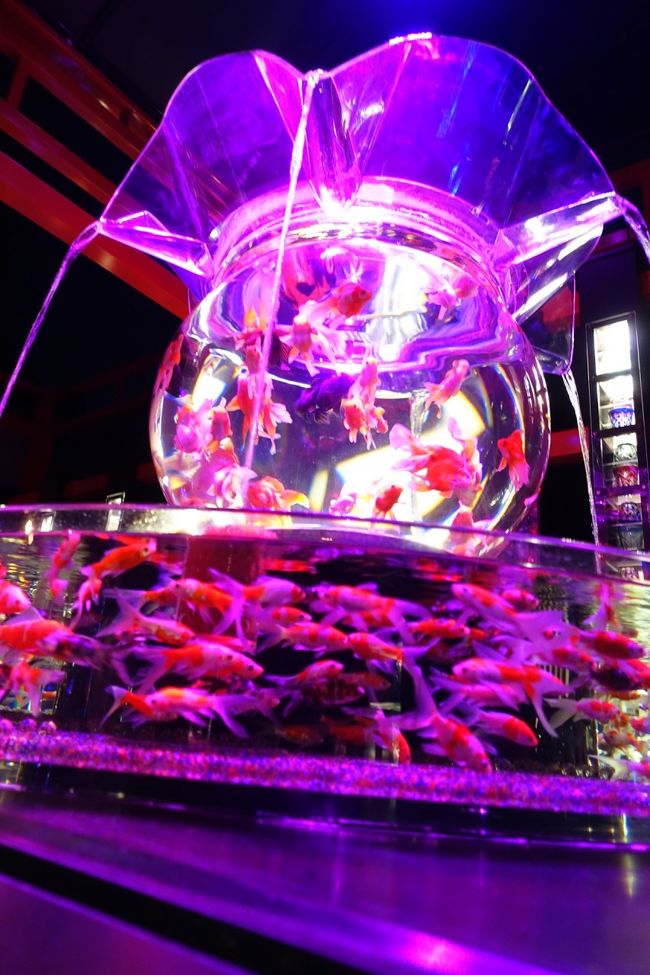 前回心斎橋大丸で開催していたときに行ってみたいなぁって思ったんだけど。。。。<br /><br />今回は京都二条城野外での開催とのこと。<br /><br />入場料大人1,500円っっ、やっぱり京都で催し物するといろいろ高いなぁ〜。<br /><br />で、感想はショボいっっ。<br /><br />照明も下手だし展示もまばらでひねりもなければ迫力も品もない。<br /><br />あべのハルカスの夜景をみて綺麗だなぁと思う人は行ってもいいけど東京とか上海の夜景を見た人は間違いなくいったらガッカリするあろうなぁ〜ってなレベルの綺麗さ(失礼か?)<br /><br />京都の寒い秋なのに魚の近くに行くと水槽のにおいが気になるのもどうかと。。。。<br /><br />そもそも二条城で開催する意味が全く理解できない。<br /><br />時の人となった企画している某デザイナーさんもいろいろとマスコミに出てくる度に発言が徐々に偉そうになってきていて感じ悪い。<br /><br />こういった人は多分すぐに消えていくんじゃないかなぁ〜。。。。<br /><br />やっぱり常に感謝を忘れずに謙虚でいるべきだよなぁ〜<br /><br />「ちんちくりん」・・・お前がいうなよって、、、?(笑)<br /><br />久しぶりに非常に残念な催しものでした。<br /><br /><br />ハルカスの夜景<br />http://4travel.jp/travelogue/10869940<br /><br />マンダリンオリエンタルの夜景<br />http://4travel.jp/travelogue/10767044<br /><br />上海の夜景<br />http://4travel.jp/travelogue/10940074