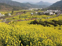 中国・ぶ源（Wuyuan）（李坑周辺の菜の花紀行）