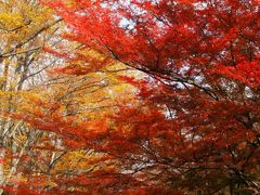 上田城からの軽井沢サジロカフェ♪