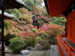 紅葉色づき始めた京都の旅