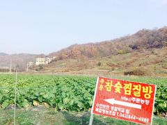2014年11月 今回もライブで行きます！温泉と炭窯サウナの旅in韓国 2日目