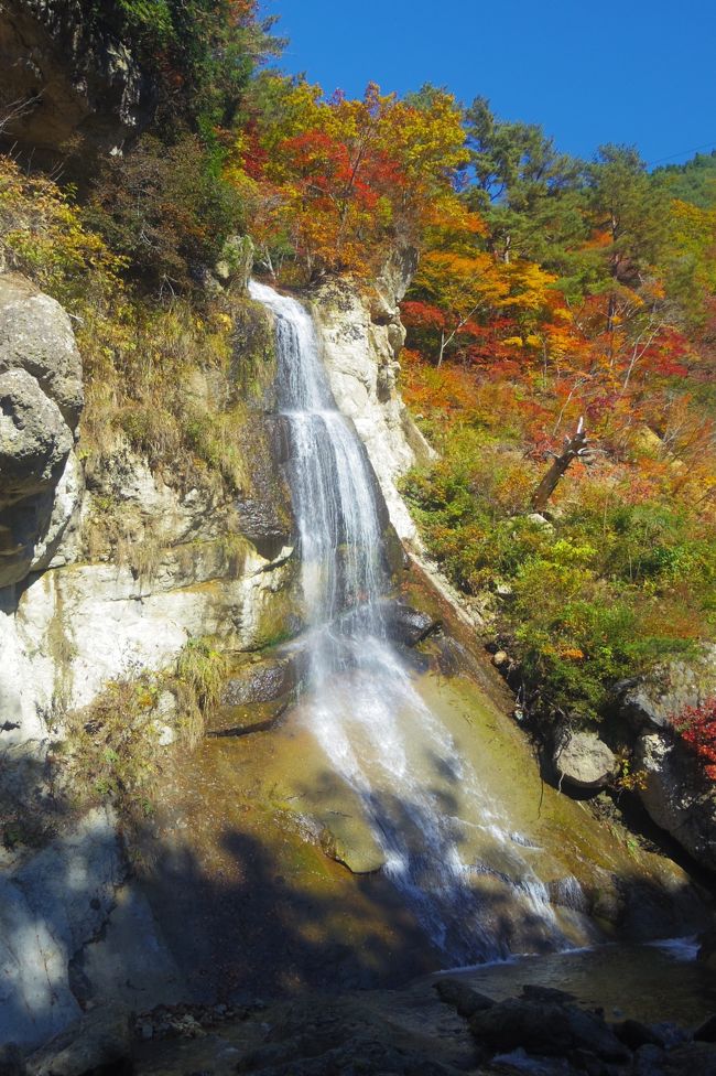 山形から、どこへハイキングに行こうと調べてみると、ここ、面白山紅葉川渓谷を見つけました。<br />ここへのアクセスは、山形駅より電車で２６分。山寺の次の面白山高原駅から歩いてすぐのようです。<br />ちょうど紅葉も見頃を迎えているようなので、楽しみにしていきました。<br /><br />ところが、この渓谷、こんなに面白い（スリルがある）とは知りませんでした。<br /><br />写真は藤花の滝