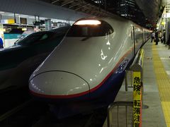 2014年振替休日 11月10日　伊香保温泉、富岡旅行