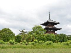 斑鳩の古寺と大和の古墳群を歩く　その１（斑鳩の古寺編）