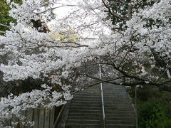 （思い出日記）　2012年04月08日～12日間　四国一週とお遍路　「２日目」