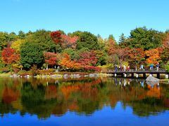 2014年昭和記念公園の秋色模様（日本庭園）