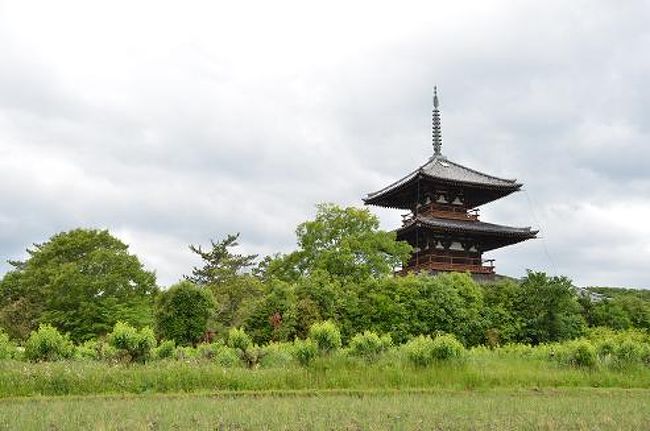 初夏の陽気を受けて、２日間の日程で法隆寺周辺の古寺と桜井市、天理市周辺の古墳群を訪ね歩きました。<br /><br />５月２１日　藤の木古墳、中宮寺、法輪寺、法起寺、春日大社<br />　　２２日　纏向石塚古墳、勝山古墳、矢塚古墳、東田大塚古墳、<br />　　　　　　箸墓古墳、ホケノ山古墳、巻野内石塚古墳、<br />　　　　　　渋谷向山古墳、櫛山古墳、行燈山古墳、黒塚古墳