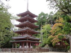 母・弟と行く海住山寺☆欧州から帰った次の日でも、お寺まいりにいくのだ～ヽ(^o^)丿