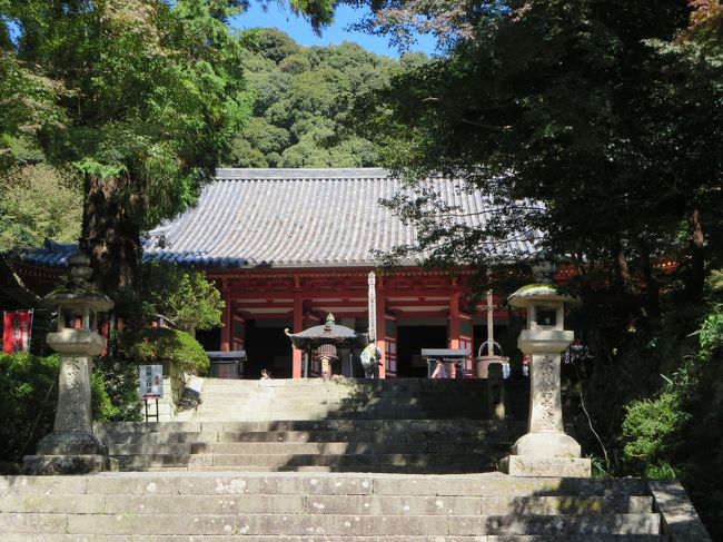 お天気のいい日曜日、弟くんがいつも通り、お寺につれていってくれることに！<br /><br />実はガブ家は、奈良に引っ越す前に、河内長野の土地を持ってたのです。<br />もしかしたら、今頃、河内長野に住んでたかも、だったのです〜(*^_^*)<br /><br />ということは関係なく、母がお勧めの、観心寺へ行くことになりました♪