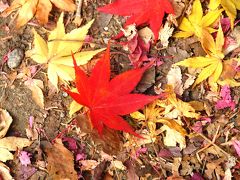 ソウル＆春川・南怡島(ナミソム) ☆ 秋の紅葉＆ミュージカルを楽しむ旅 ～ 前編