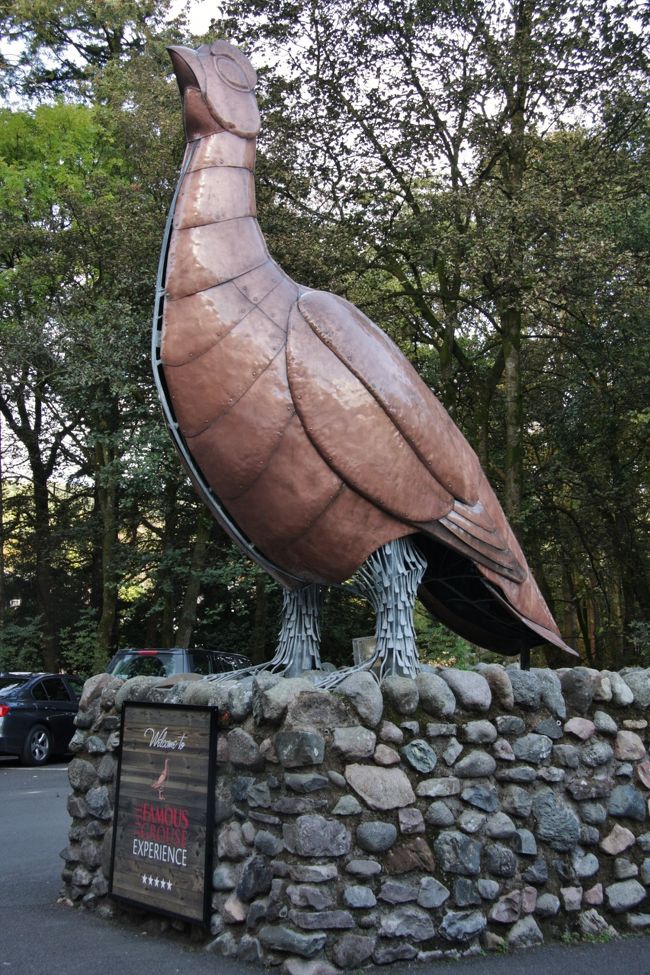 Glenturret蒸留所のマスコットのライチョウ　2014.10.14　　14：18<br />Giant grouse, mascot of Glenturret Distillery<br /><br />スコットランド・フランスの旅2014<br />写真旅行記　Travel Photo Essay<br />2014.10.13(月）〜10.27（月）15日間<br /><br />第3回　スコッチウィスキー蒸留所見学ツアー<br />No.3 Highland Whisky Experience part 2/Glenturret Distillery<br /><br />10月14日（火）　曇り　　<br />エジンバラ到着の翌日はスコッチウィスキー蒸留所ツアーに参加した。<br />現地での2日目に考えていたが、催行日の関係で翌日となった。<br /><br />本日のツアーのルート<br />Edinburgh→A90を西へ→M90に移り北上→Forth Road Bridgeを渡りPerthにてA9へ→DunkeldにてOld Military Roadへ入り、ナショナル・トラストThe　Hermitage→Dunkeldにて自由行動50分（昼食・街歩き）→A822をCrieff(Glenturret蒸留所）→A822をGreenloaning→A9をStirling→M9をKirkliston→M90,A90を経てEdinburghへ。<br />走行距離177マイル（284Ｋｍ）<br /><br />午前中はエジンバラの北140キロほどにあるナショナルトラストの自然公園「エルミタージュHermitage」を訪れてスコットランドの巨木や滝などの自然を満喫した。<br />ダンケルドDunkeldで小1時間の自由行動の後、目指すスコッチウィスキー蒸留所があるクリーフCrieffへ向かった。<br />DunkeldからA822(Old Military Road)を南下して40分ほどにある。<br /><br />蒸留所Glenturret Distilleryへ到着するとまず目に入るのが薄い灰色の三角屋根の連なったウィスキー保存庫だ。<br /><br />FAMOUS GROUSE EXPERIENCE(「素晴らしいライチョウの体験」といった意味か？）<br />入り口には大きなライチョウの像が迎えてくれる。<br />銅で出来ていて、「どうだ！」と言わんばかりだ。（笑い）<br /><br />白い建物の中ほどにあるThe Welcome Loungeが待合所を兼ねたツアーの申し込み受付がある部屋で、素敵なお姉さんが迎えてくれる。<br /><br />壁にはこの蒸留所の歴史などが写真入りで書かれている。<br />隣接するトイレの入り口は左右に分かれており、左がLADSで右がLASSIES。左が女性用かと思っていたら、右から女性が出てきたのでLADSは男性と判ったが、受付で聞いたらスコットランド語だった。<br />チケット（7.85ポンド　￥1400）を買ったあと他のツアーメンバーが見えなくなってしまいあわてたが、売店で訊いたらグレイラインの見学は14：30からで、それまでは自由時間であると分った。多くのメンバーはカフェテラスでランチを食べていた。一人参加は何かと不安が付きまとうので用心が必要だ。<br /><br />見学まで1時間あるので先に売店でウィスキーとグラスを買ったが重いので見学が終わるまで預かってもらった。<br />構内に名物猫TOWSERの銅像がある。この蒸留所に24年間住み、2万8千匹以上のネズミを捕り、ギネス記録のネズミの王者だ。<br />蒸留所の脇を流れる川沿いに上流に向かうと、流れの音さえ聞こえない静寂が漂う小道に時折木漏れ日が差し、浅瀬で砕けて白く光る流れが目に入る、異次元・世界の時間・空間を味わうことができた。<br />何と言う幸せだろう。以前ノルマンディーのエトルタの崖の上でそよ風に吹かれながら打ち寄せる波を見ていた時に似ている。<br />http://4travel.jp/travelogue/10476458<br /><br />14：30からの見学は一般見学者も含めて20名ほどのグループ見学だった。<br />生産現場の写真は禁止のため撮れなかったが、<br />主な工程は、<br />ウィスキーの原料の麦芽の粉砕<br />仕込み　清浄な水を加え、60℃から65℃に加熱して糖化させる<br />発酵　酵母を加え、30℃から35℃で発酵させる<br />蒸留　銅製のポットスチルと呼ばれる蒸溜器で蒸留<br />貯蔵　樽に詰めて長期に保存<br /><br />☆★ウィスキー製造工程の詳細は下記が参考になる。<br />ウィスキー作りの基本工程（SUNTORY)<br />http://www.suntory.co.jp/whisky/museum/factory/<br /><br />見学の最後は試飲で3種類のウィスキーを味わった。ここで造られたものなので、それほど大きな違いは判らないのは当り前であろう。<br />続いてスコットランドの自然を紹介する映像を見せてくれた。複数のプロジェクターにより壁面から床までつながった映像は迫力もあって面白かった。<br />最後は売店での試飲と買い物で蒸留所見学を締めくくった。<br />http://experience.thefamousgrouse.com/visit-our-distillery/virtual-tour/<br /><br />Glenturret distillery<br />http://en.wikipedia.org/wiki/Glenturret_distillery<br /><br />時折雲の切れ目から陽が漏れる風景を眺めながら、5時半にエジンバラ市内へ戻り、ウェーヴァリー橋の駅前で解散となった。<br />ホテルへ帰って一休みし、夕食には早すぎるのでロイヤルマイルRoyal Mile(西端のエジンバラ城から東端のホリールード宮殿をつなぐ約1マイルの賑やかな通り）の散策に出かけた。通りの中ほどまではホテルから歩いて5分ほどで行ける。昼と夜の境の時間帯で、写真撮影にはぴったりだ。<br /><br />夕食は昨夜のバーの2階にあるビストロで地元の人に奨められて名物のハギスを食べた。<br />メニューを見てHaggisとは何かと店員に尋ねていたら隣のテーブルの地元の人が教えてくれたものだ。後で調べると子羊の内臓を腸詰にして茹でたものを調理したものだそうだ。<br />味は独特のものだが、ほぼ完食出来た。美味しかったかと訊かれれば「ビミョー」（笑い）。正直、前菜のスモークサーモンが美味しかった。<br /><br />旅行記に記載のポンド／円レートは180円としたが、外貨購入の189円とクレジットカード精算の172円の中間値です。<br /><br />■旅行計画要約（毎回重複掲載します）　<br />Abstract of the trip to Scotland and France<br />http://4travel.jp/travelogue/10935919<br /><br />イギリスは自動車会社Ｈの研究所勤務時に、1980年代初頭から90年代半ばまでローバーとの共同開発を含むjoint businessの機会に何度となく出張し、イギリス人から生きた英語を学んできたので、私にとっては学生時代に交流があったフランスとならび特別な親近感を抱く国。<br /><br />しかしいつしか高齢となり、いつまで海外旅行ができるか分らなくなったため、一度も行ったことのないイングランドと地続きのスコットランドへ行ってみたくなり、半年ほど前に今年の旅行先に決めた。<br />先日のスコットランドの独立の是非を問う国民投票が公示される以前のことだ。<br />体質の関係で日本酒は全くダメだが、ウィスキーは好きで、最近は飲む機会が少ないが、昔はオールドパーのボトルキープができた古き良き時代もあった。水で割ってはせっかくの香りが薄まるのでロックがよい。<br />イギリスへ出張を繰り返していた80年代に、イギリス人に緑の三角形の瓶で知られたシングルモルト・ウィスキーの草分けグレンフィディックGlenfiddich（現在はサントリーが輸入・販売）を土産に奨められたこともあった。<br /><br />スコットランドからの帰りにヨークおよびハワースへ立ち寄るのも大きな目的。<br />ヨークは鉄道好きには聖地のような国立鉄道博物館がヨーク駅に隣接している。世界で初めて時速200Kmを超えた蒸気機関車マラード号を始め機関車103両、客車176両、日本の新幹線もあるそうだ。（ブルーガイド・イギリスによる）<br />ヨーク大聖堂や2000年の歴史を刻む城壁や城門も楽しみだ。<br /><br />「嵐が丘」を書いたエミリー、「ジェーン・エア」のシャーロッテ、「アグネス・グレイ」のアン（あまり知られていない）の3姉妹の生まれ育った荒野の中の小さな村で、シェークスピアが生まれたストラットフォード・アポン・エイボンと並ぶ「英国文学の聖地」ハワースは死ぬ前に訪れなくてはならない場所と思っていた。<br /><br />後半のフランス訪問については、<br />今年4月に1964年の東京オリンピックの直前の8月に日仏学生交流プログラムで来日したフランスの学生たち（3つの大学の内の1つ）が50年ぶりに再来日することになり、2日間の都内見学の計画づくりと案内に奔走した。<br />彼らがその後鎌倉・箱根・京都・広島・奈良・大阪を回り、帰国後のメールのやり取りでスコットランド旅行の計画を伝えたところ、その帰りにぜひフランスにも足を延ばして再会したいと言われ、誘いに乗ることになった。（7月）<br />リヨン、エクサンプロヴァンス、パリの3都市だが、いずれのお宅も部屋はたくさんあるのでホテルの手配は要らないと言ってくれているので助かる。<br />4月の受け入れ時にはコーディネーターを務めたので、奥様方を含め16人のメンバー全員と顔のつながりができているため、とても楽しみにしている。<br /><br />撮影　CANON EOS40D EF-S17/85<br />    PowerShot A2300<br /><br />第1回　スコットランド・フランスの旅2014　1.東京からエジンバラまで　　http://4travel.jp/travelogue/10948376<br /><br />第2回　スコットランド・フランスの旅2014　2.スコットランドの自然探訪<br />　http://4travel.jp/travelogue/10949966<br /><br />お気に入りブログ投票（クリック）お願い<br />http://blog.with2.net/link.php?1581210<br />