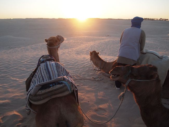 ドゥーズはチュニジア南部のサハラ砂漠の街です。<br />まわりは砂漠以外に何もない自然あふれる場所です。<br />ラクダに乗り砂漠での夕陽鑑賞、<br />早朝での砂漠の日の出鑑賞と自然あふれる時間を過ごしました。