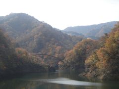 愛娘（犬）と一緒に日帰り旅行。那須の旅