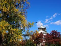大坂の陣４００年天下一祭冬の陣で、大阪城の櫓など特別公開