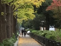 横浜の秋を楽しむ（2014.11.09）