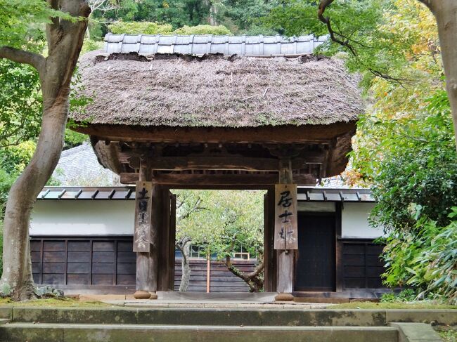 以前作成した旅行記ですが、国内旅行記は止めようと非公開にしていましたが国内旅行記しか作成出来なくなりましたので、再公開することにしました。<br />横浜に行った帰りに散歩気分で鎌倉の寺社めぐりをした時の旅行記です。<br />