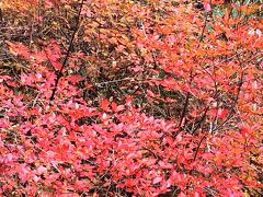 平日の草津温泉一人旅