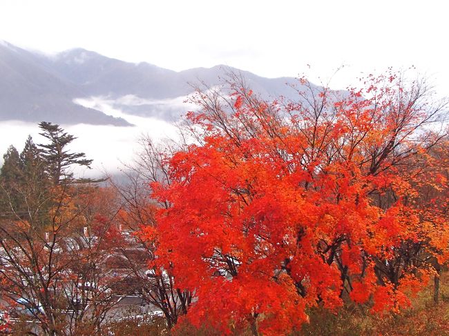 三峰神社：<br />日本神話の英雄・日本武尊（ヤマトタケル命）が　東征中にこの地を訪れた時に、三峯の山々の素晴らしい風景に感動し、伊弉諾尊（いざなぎのみこと）・伊弉册尊（いざなみのみこと）の国造りを偲んで祀り創建したのが起源で、更に、弘法大師空海が観音像を安置したとされる<br />関東最強パワースポット『三峯神社』<br /><br />８月から　60年に一度の甲午歳総開帳にあわせ、秩父札所 34ヶ所めぐり .... 結願目指し旅　を妹夫婦と（途中から両親参加〜）しておりますが...<br />みごと　本日最終の札所を拝み結願達成となり（旅行記は作成中です。）<br />最後に　更なる運気UPをと（欲張り過ぎ〜）奥秩父まで足を運びました。<br />紅葉まつりの三峰神社　お天気はちょっぴり残念でしたが？<br />逆に、それが功をなし　みごとな雲海と紅葉を拝んでまいりました。