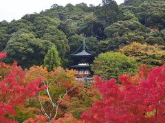 アメックス・世界遺産清水寺の貸切夜間特別拝観当選 /  ①永観堂・青蓮院