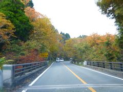 急に思い立って行った、熊本・大分 レンタカーでドライブ＆観光と紅葉狩り１泊２日の旅【《杖立温泉》から、小国町、阿蘇スカイラインなど経由で《菊池渓谷》に移動編】（２０１４年１１月）