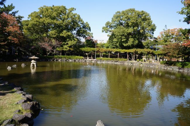 名古屋へ出張してきました。1時間弱の余裕があったので、名古屋駅から地下鉄東山線で約7分の「中村公園駅」で降り、中村公園へ行ってみました。<br />中村公園内にある豊国神社は豊臣秀吉を祀る神社ですが、全国にある豊国神社のうち京都、大阪、名古屋、長浜にある豊国神社を豊国四社と呼ぶそうです。<br />えっ・・・今年、全部参拝していました！？　秀吉マイブームなわけではないのですが・・・<br />