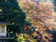 埼玉の隠れ（？）紅葉スポット　鎌北湖（かまきたこ）　