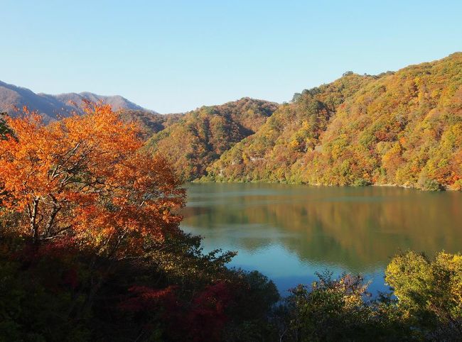 この日も天気が良かったので、車を走らせ紅葉を見に出かけました。<br />ちょうど見ごろの場所を調べ...湯西川方面が良いかなと思い<br /><br />龍王峡〜鬼怒川〜湯西川などのポイントを回りました。