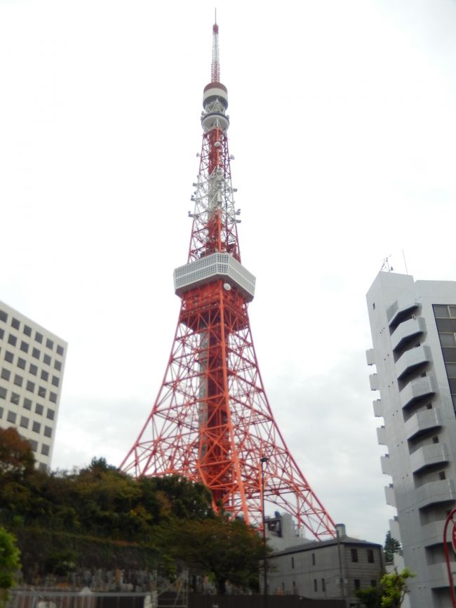 東京・港区にある東京メトロ日比谷線の神谷町駅・麻布台周辺を散策しました、国道１号線・桜田通り沿いにある愛宕神社や八幡神社に寄ったり、道路から東京タワーを眺めたりして、高台にある整備された城山ガーデンの中を散策しました、落ち着いた雰囲気の都心にある高級マンション街をちょっとだけ歩いて見ました。