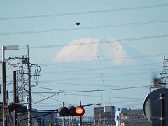 11月15日(七五三)の富士山