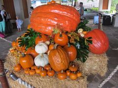 ハワイを知る　カルチャーとグルメの旅　その３　ハロウイン