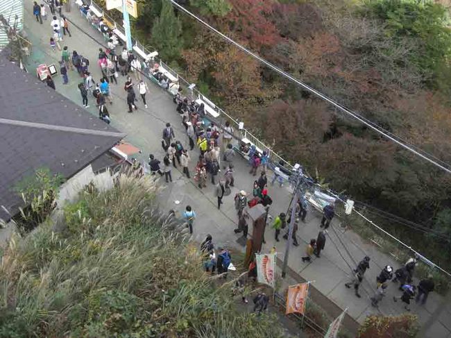 前から行きたいと思いながらなかなか機会に恵まれずにいた高尾山であったが、このたび神のご加護か、み仏のお導きで憧れの高尾山に行くことができた。<br /><br />昨夜は娘が孫を連れて泊まりに来て、今朝はパパが夜勤明けで帰ってくると言いながらそそくさと帰っていった。一転して静かな我が家に戻った。「豆台風　紙おむつだけの　置き土産」などとひねってみる。<br /><br />垣根のバラの枝が伸びてご近所様に済まないという妻が愚痴をこぼすので、ようやく重い腰を上げて、剪定バサミを手にしていると、清涼な空気を透して暖かな日差しが背中を包み込む、「いいお天気ね、何処かへ行きたいわね」と後ろから妻の声、そうだ高尾山に行こう♪・・・時刻は今１０時、「一時間、いえ、４０分で支度をするわ」ということで一時間後には電車の中にいた。