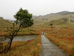 雨の砥峰（とのみね）高原ススキ