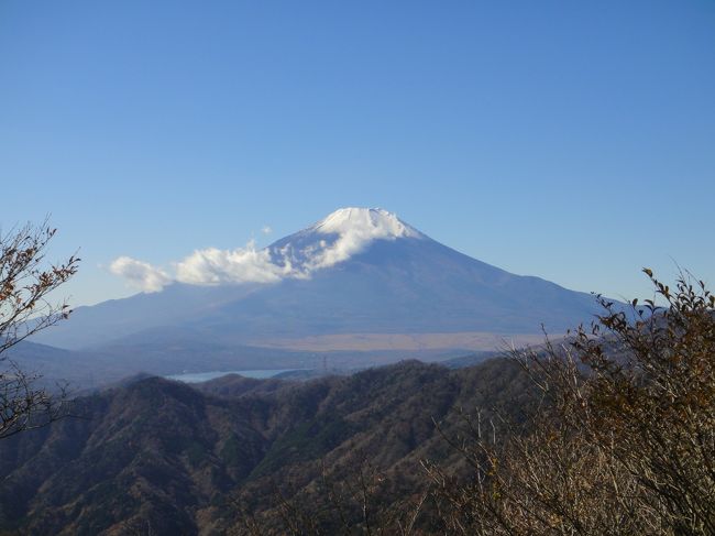 晩秋の晴天。朝から晩まで富士山を眺めながらの落葉踏みしめハイキング。「平日しか行けないコースがあります」と山の師匠Yさんからお声掛けいただき（あたしがどっか連れてけって強要したのが発端ですが）実現しました。落ち葉さっくさくの道をひたすら進む楽しい一日でした。<br /><br /><br />平野バス停からバス乗車→「中山」バス停下車→道の駅どうし（午前8時半スタート）→落合橋→菰釣避難小屋→菰釣山→樅の木沢の頭→石保土山→大棚ノ頭→富士岬平→高指山→平野バス停（午後5時前到着）