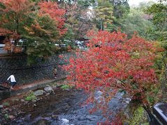 あめちゃん家族の旅物語　　　　　　　　　　　　　　　　　　　　　　　　　　　　　　　　　　2014年秋　九州熊本編（1日目）