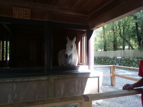 伊勢神宮 木製動物彫刻 12体セット （おかげ横丁｜三重県伊勢市